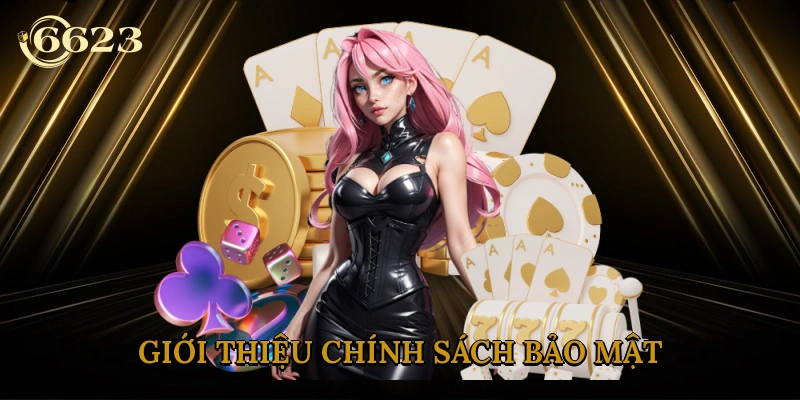 gioi-thieu-chinh-sach-bao-mat